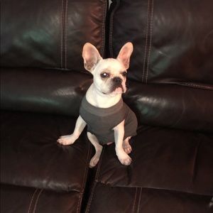 Meet your Posher, Jake